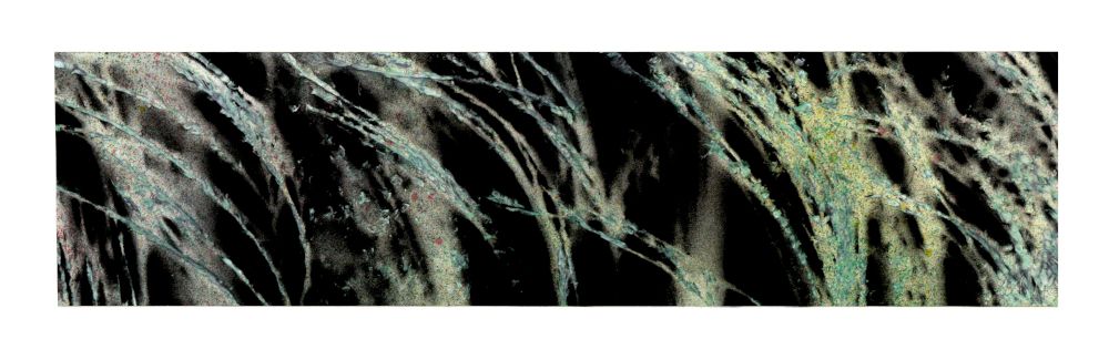 16-12-2024-horizontal-2-08