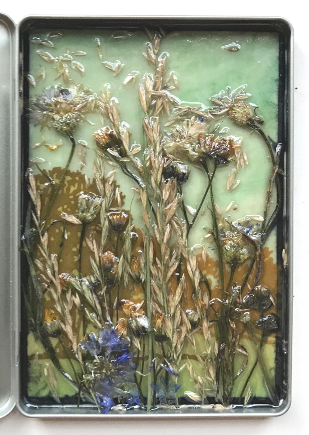 18-08-2025-kleine-welten-11-01